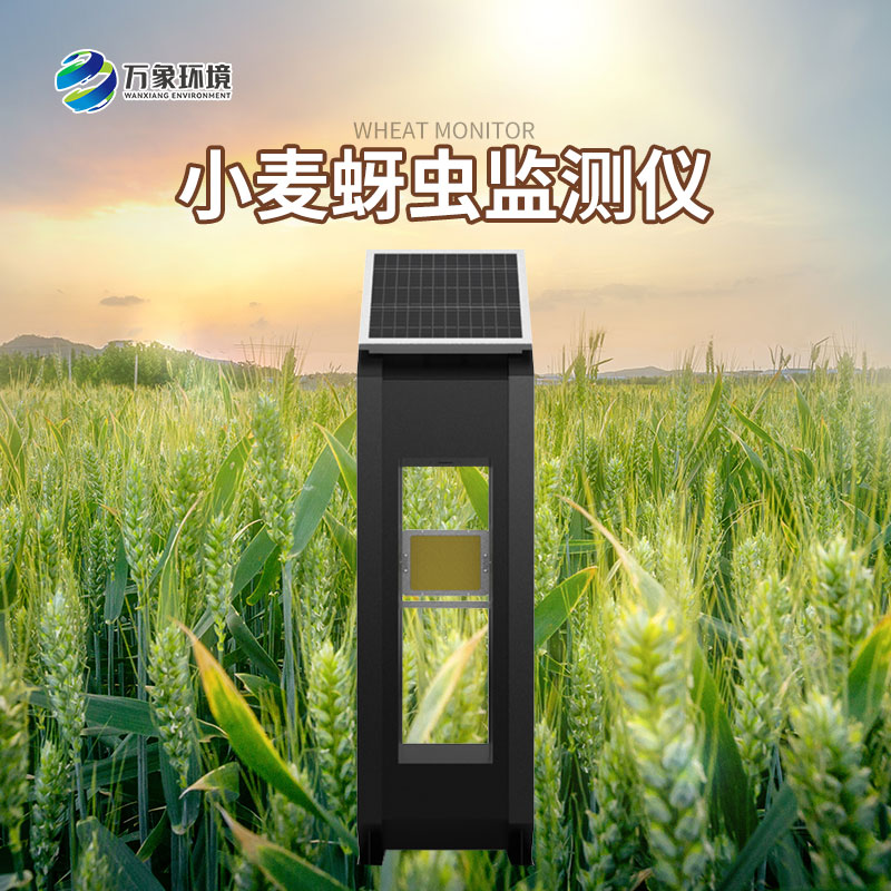 小麦蚜虫监测仪