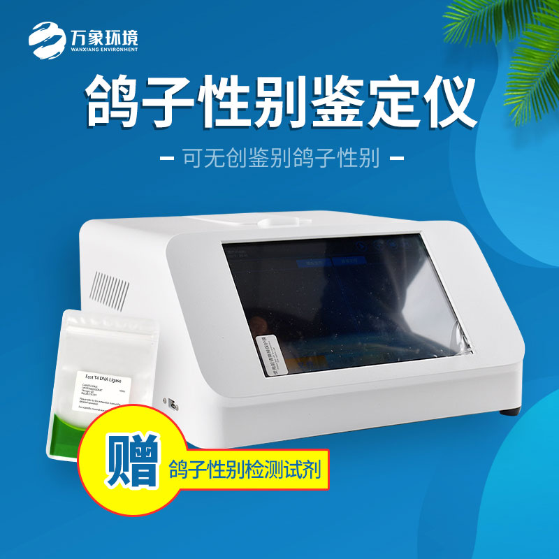 鸽子性别鉴定仪
