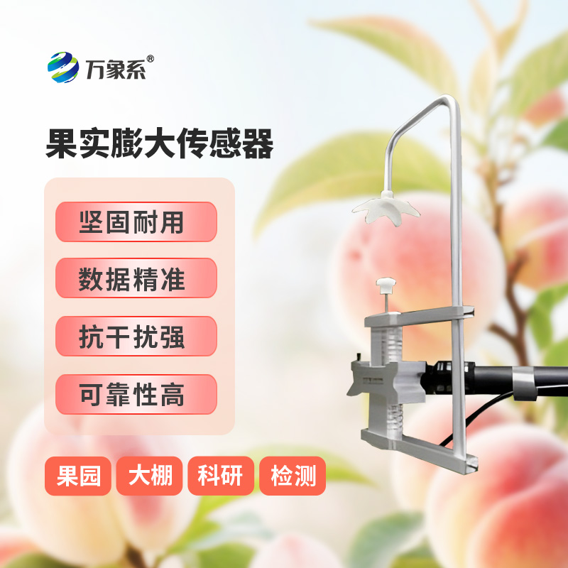果实膨大传感器