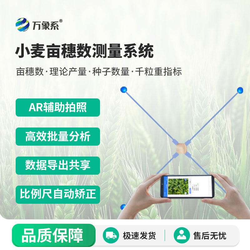 小麦亩穗数测量系统